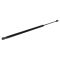 97-05 Buick Olds Pontiac Chevy Regal Impala Grand Prix Lift Support