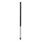Back Glass Lift Support
