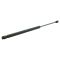 98-02 Lincoln Blackwood Navigator Hood  Lift Support