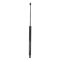 Liftgate Lift Support