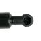 Liftgate Lift Support