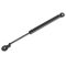 94-95 Honda Accord Sedan Trunk Lid Lift Support LH = RH