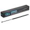 Trunk Lid Lift Support