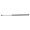 Liftgate Lift Support
