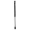 Trunk Lid Lift Support
