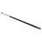 Liftgate Lift Support