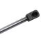 Liftgate Lift Support