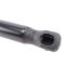 Liftgate Lift Support