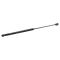 Liftgate Lift Support