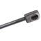 Liftgate Lift Support