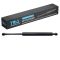 Trunk Lid Lift Support