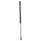 Liftgate Lift Support
