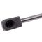 Trunk Lid Lift Support