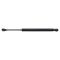 Trunk Lid Lift Support