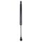 Trunk Lid Lift Support