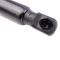 Liftgate Lift Support