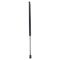 Liftgate Lift Support