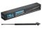 Liftgate Lift Support