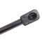 Liftgate Lift Support