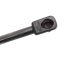 Liftgate Lift Support