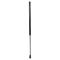 Liftgate Lift Support