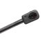 Liftgate Lift Support