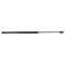 Liftgate Lift Support
