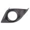 Fog Light Bezel