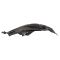 Inner Fender Liner Set