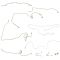 95-00 Tahoe, Yukon Classic w/4WD & Gas Engine (11 Pce) Stainless Steel Brake Line Kit (DM)