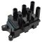 01-08 Ford, Mazda, Mercury Multifit w/2.9L, 3.0L, 4.2L Ignition Coil Pack (Delphi)