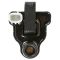 Ignition Coil - Delphi