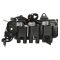 Ignition Coil - Delphi