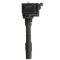 Ignition Coil - Delphi