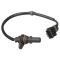 Crankshaft Position Sensor - Delphi