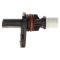 Crankshaft Position Sensor - Delphi