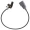 Crankshaft Position Sensor - Delphi