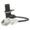 Crankshaft Position Sensor - Delphi