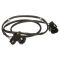 Crankshaft Position Sensor - Delphi