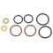 03-07 Ford Van; 03-05 Excursion; 03-06 F250SD-F550SD 6.0L Diesel Fuel Injector O-Ring Kit