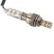 O2 Oxygen Sensor Set