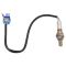 Oxygen Sensor Pair