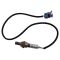 Oxygen Sensor Pair