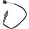 Oxygen Sensor Kit