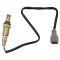 Oxygen Sensor Kit