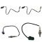 O2 Oxygen Sensor Set