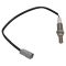 O2 Oxygen Sensor Set