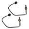 O2 Oxygen Sensor Set