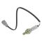 Oxygen Sensor Kit