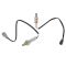 O2 Oxygen Sensor Set